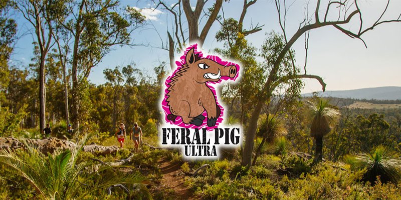 Feral Pig Ultra