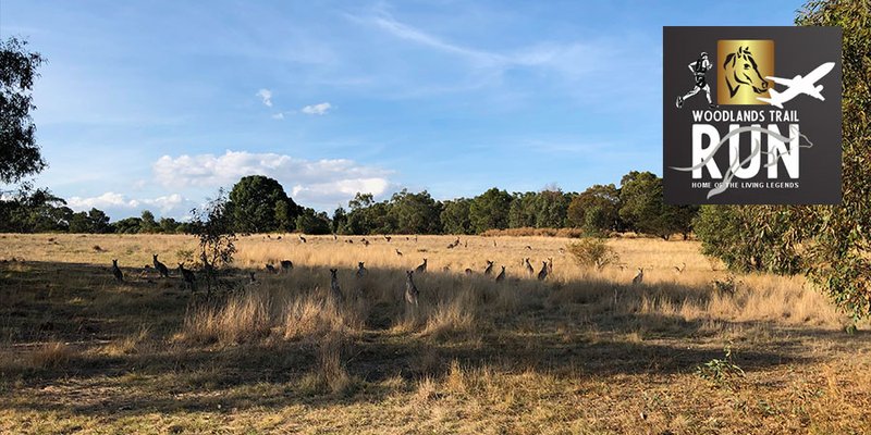 Woodlands Trail Run
