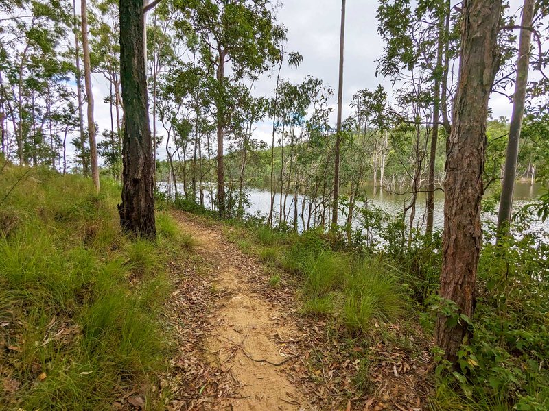 SEQ Trail Series: Wyaralong Dam